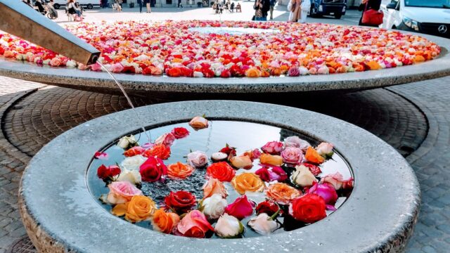 スイス チューリッヒにバラの噴水が登場 トゲのないバラはない キャンペーン スイス暮らしのブログ