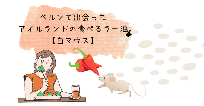 スイス暮らしのブログ スイス暮らしのブログ